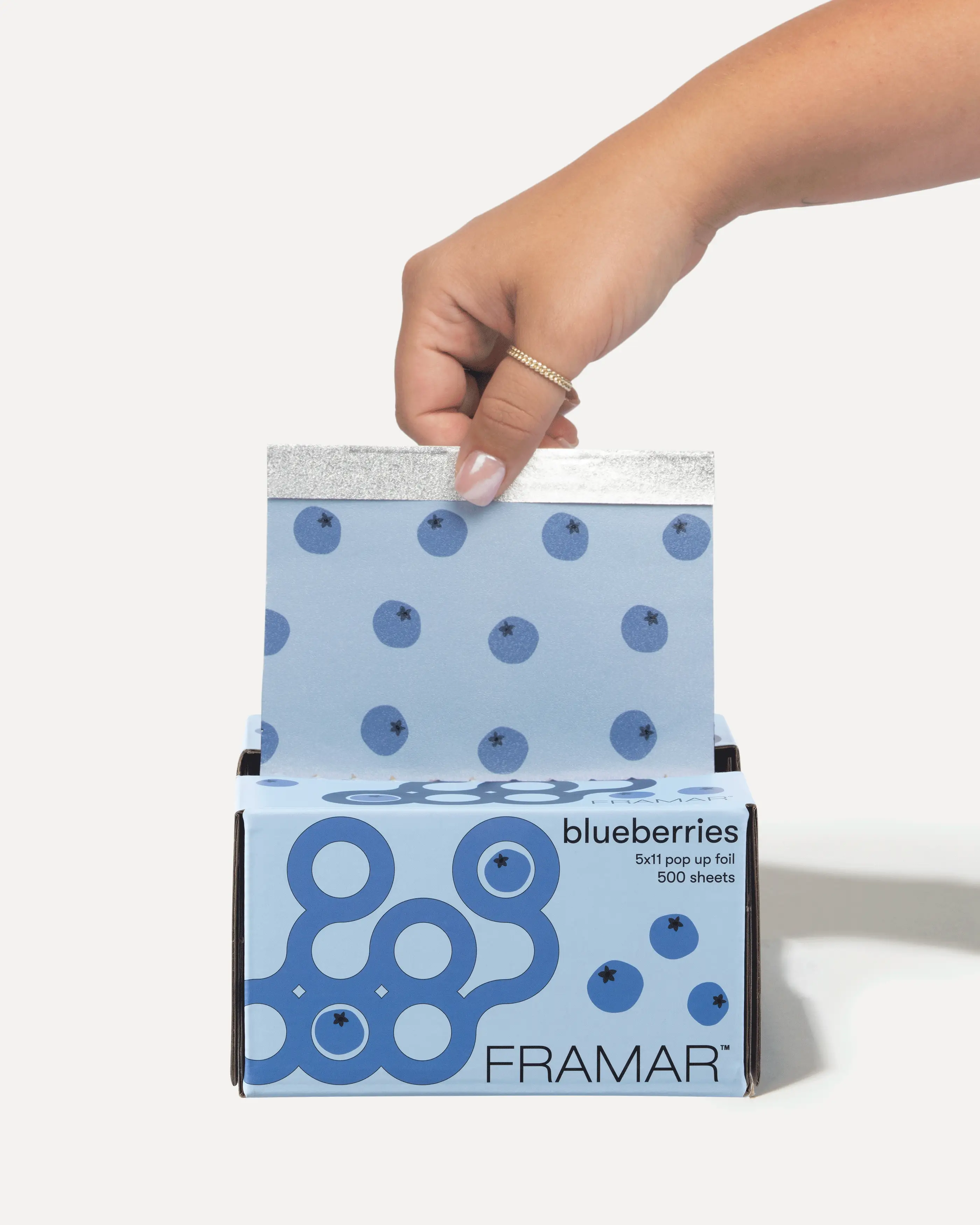 Blueberries - Pop Up - Image 2